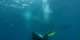 Philippines - 2012-01-16 - 129 - Whale Shark Beach
